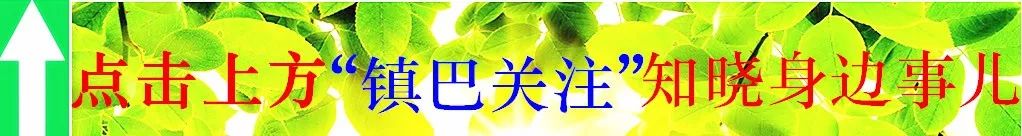 陕西富硒茶多少度（陕西富硒茶属于什么茶）-硒宝网