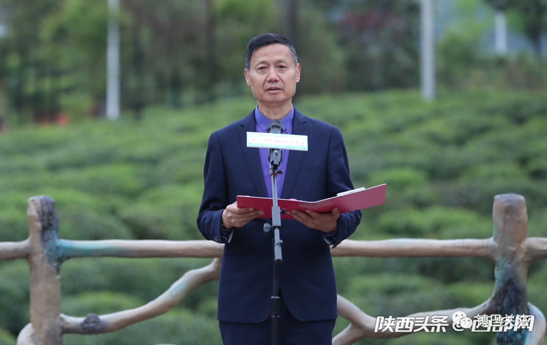 陕西富硒茶多少度（陕西富硒茶属于什么茶）-硒宝网