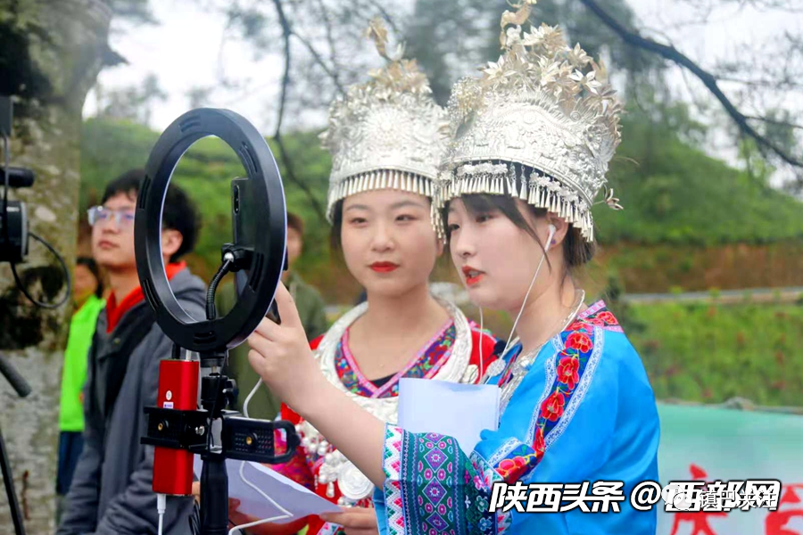 陕西富硒茶多少度（陕西富硒茶属于什么茶）-硒宝网