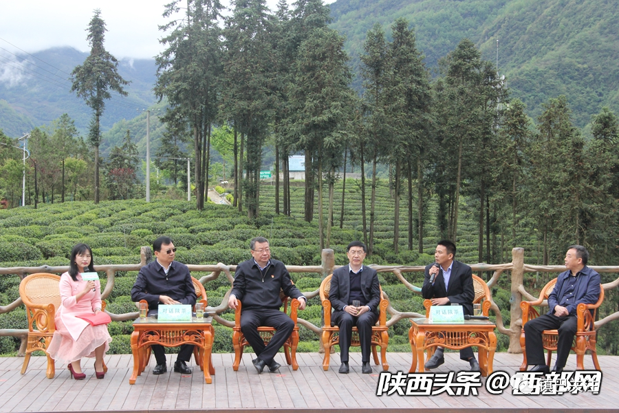 陕西富硒茶多少度（陕西富硒茶属于什么茶）-硒宝网