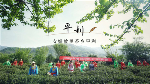 安康富硒茶特产店(安康特产茶店富硒茶有哪些)-硒宝网