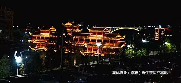 富硒茶含有蛋白质(茶中蛋白质的作用)-硒宝网