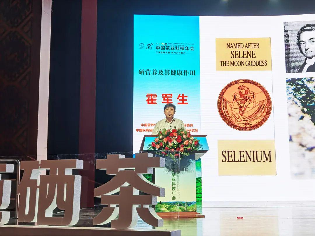 梁中树恩施富硒茶(恩施富硒茶简介)-硒宝网