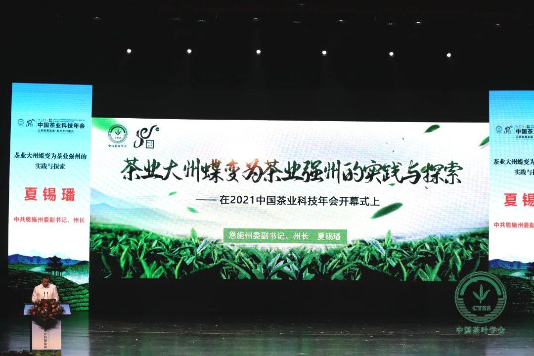 梁中树恩施富硒茶(恩施富硒茶简介)-硒宝网