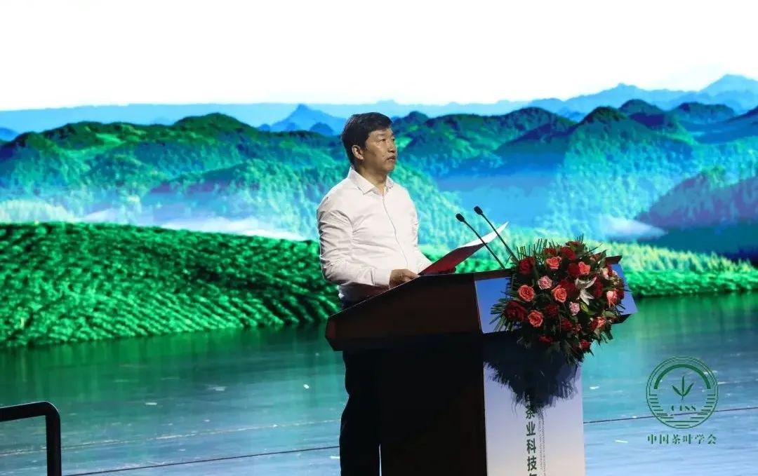 梁中树恩施富硒茶(恩施富硒茶简介)-硒宝网