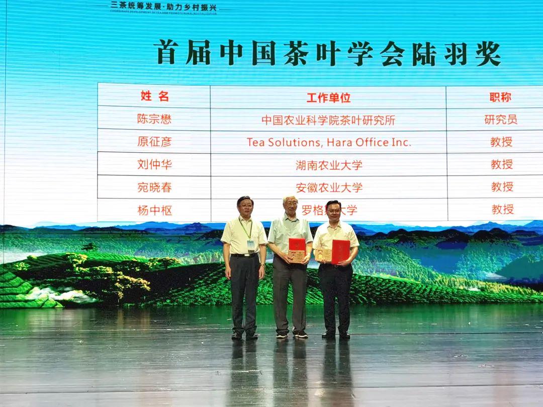 梁中树恩施富硒茶(恩施富硒茶简介)-硒宝网