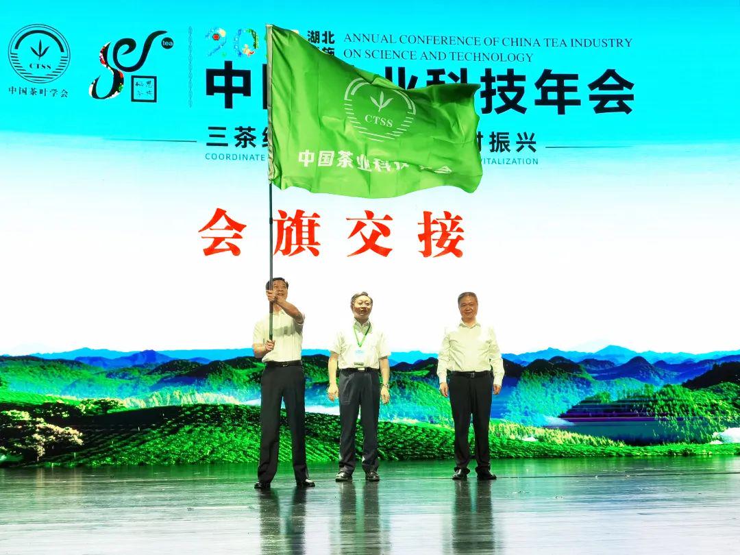 梁中树恩施富硒茶(恩施富硒茶简介)-硒宝网