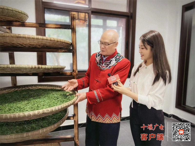 承德凤岗富硒锌茶（凤冈锌硒茶有机茶价格）-硒宝网