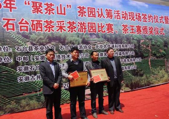 陕西省富硒茶产地（陕西富硒茶属于什么茶）-硒宝网