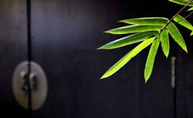 富硒茶的诗 清气(富硒茶具)-硒宝网