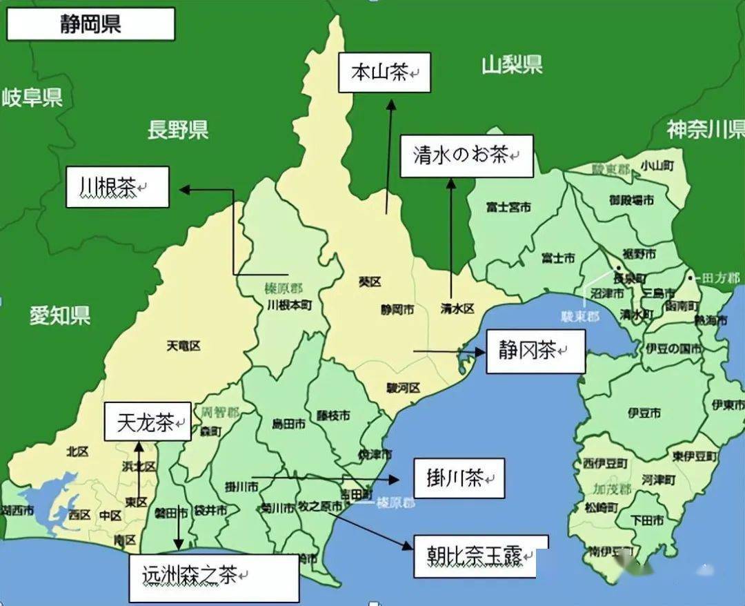 玉露茶凯迪克富硒(恩施玉露富硒茶多少钱)-硒宝网