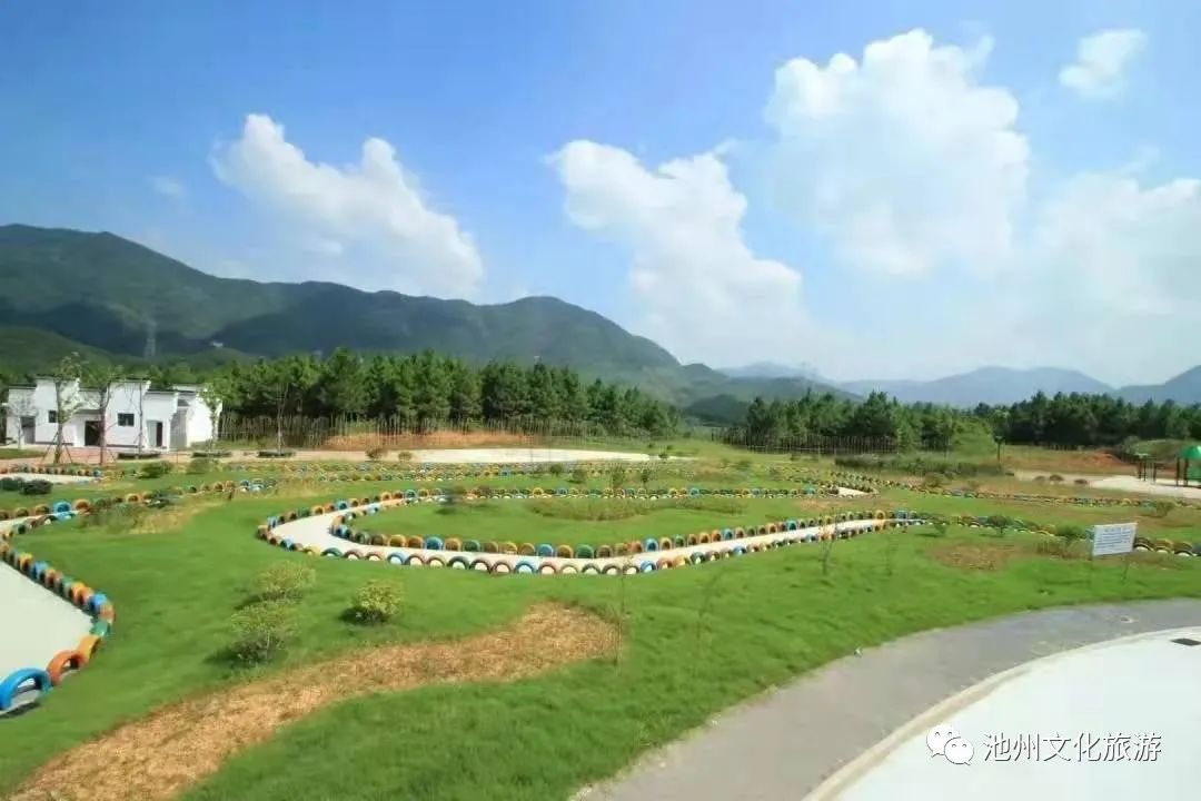 池州仙寓山富硒茶（安徽池州仙寓山富硒村）-硒宝网