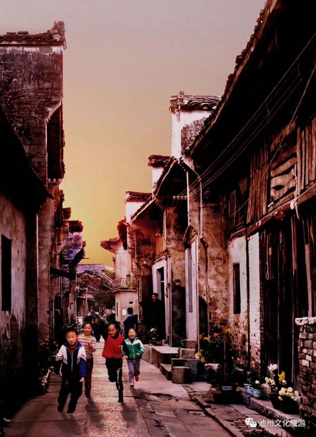 池州仙寓山富硒茶（安徽池州仙寓山富硒村）-硒宝网