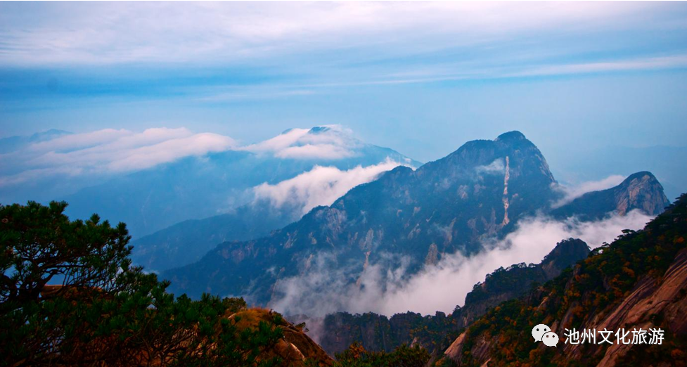 池州仙寓山富硒茶（安徽池州仙寓山富硒村）-硒宝网