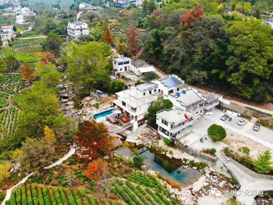 池州仙寓山富硒茶（安徽池州仙寓山富硒村）-硒宝网