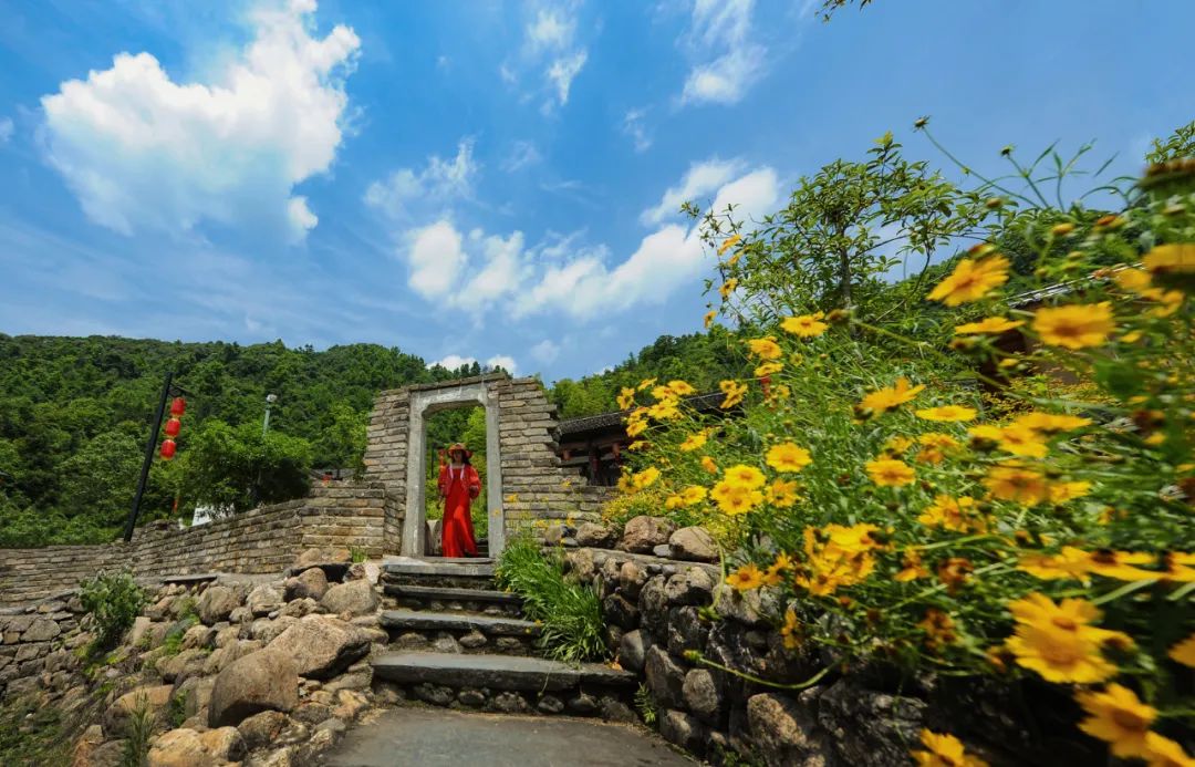 池州仙寓山富硒茶（安徽池州仙寓山富硒村）-硒宝网