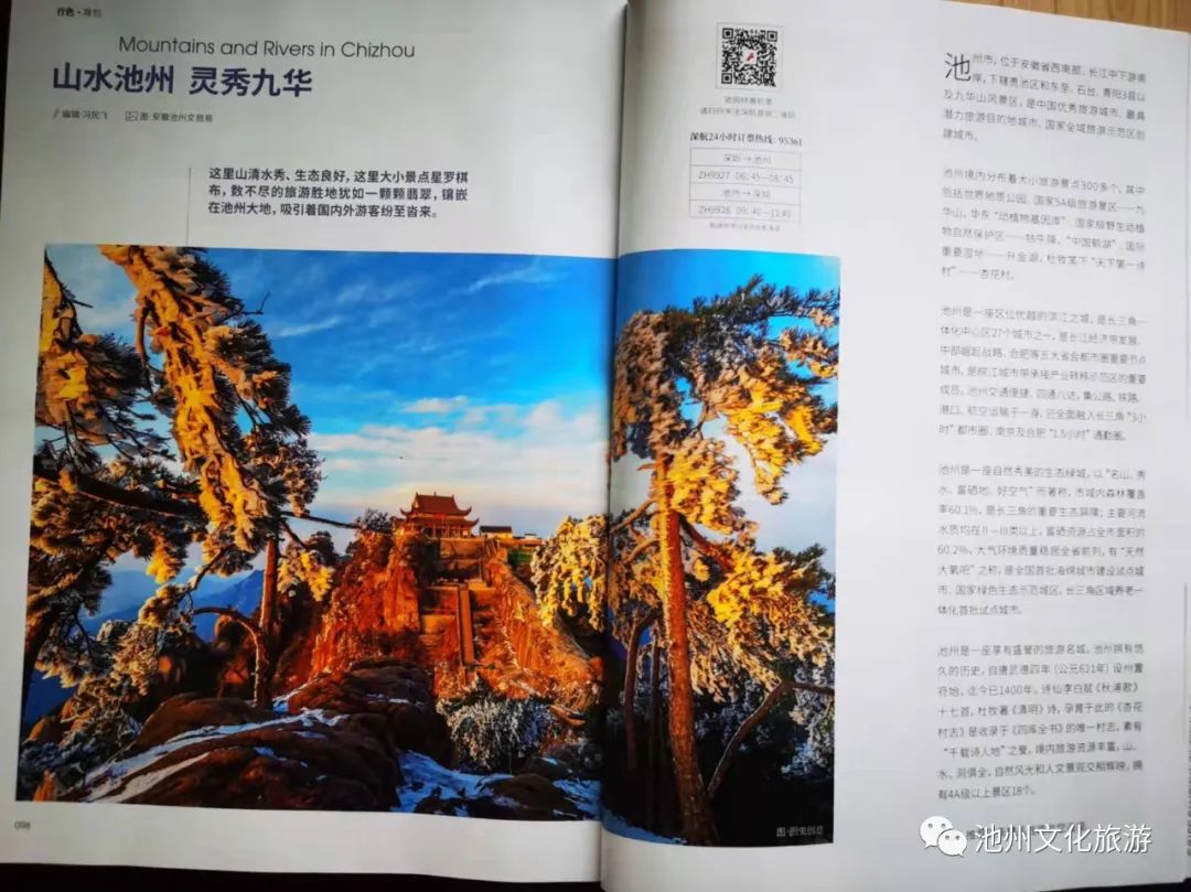 池州仙寓山富硒茶（安徽池州仙寓山富硒村）-硒宝网