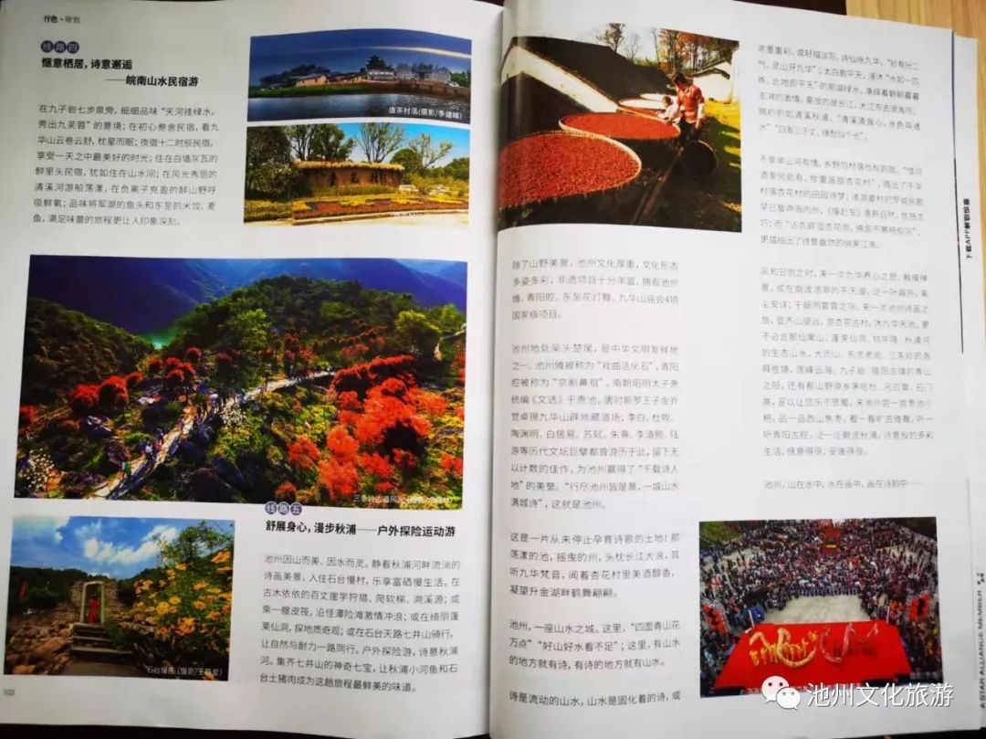 池州仙寓山富硒茶（安徽池州仙寓山富硒村）-硒宝网