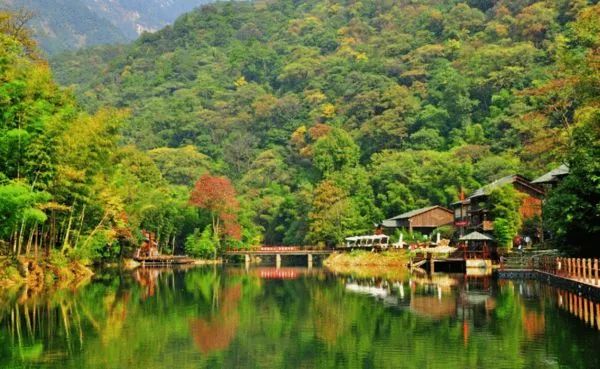 池州仙寓山富硒茶(池州市仙寓山富硒大山村休闲游)-硒宝网