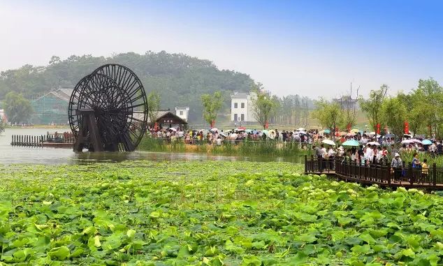 池州仙寓山富硒茶(池州市仙寓山富硒大山村休闲游)-硒宝网
