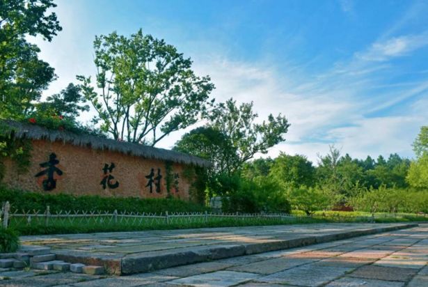 池州仙寓山富硒茶(池州市仙寓山富硒大山村休闲游)-硒宝网