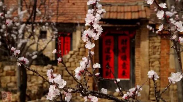 池州仙寓山富硒茶(池州市仙寓山富硒大山村休闲游)-硒宝网