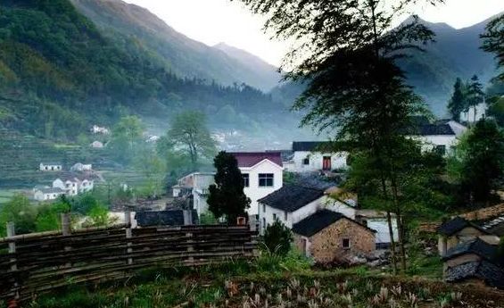 池州仙寓山富硒茶(池州市仙寓山富硒大山村休闲游)-硒宝网