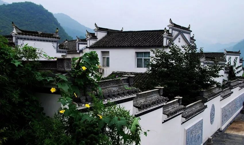 池州仙寓山富硒茶(池州市仙寓山富硒大山村休闲游)-硒宝网