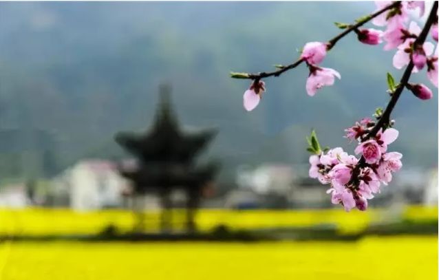 池州仙寓山富硒茶(池州市仙寓山富硒大山村休闲游)-硒宝网