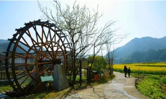 池州仙寓山富硒茶(池州市仙寓山富硒大山村休闲游)-硒宝网