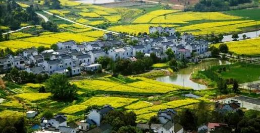 池州仙寓山富硒茶(池州市仙寓山富硒大山村休闲游)-硒宝网