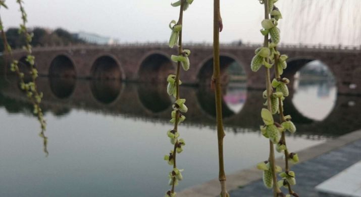 池州仙寓山富硒茶(池州市仙寓山富硒大山村休闲游)-硒宝网