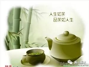富硒白茶饼茶泡法(富硒白茶是什么茶)-硒宝网
