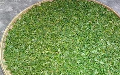 凤凰山富硒茶价格（凤凰山茶叶）-硒宝网