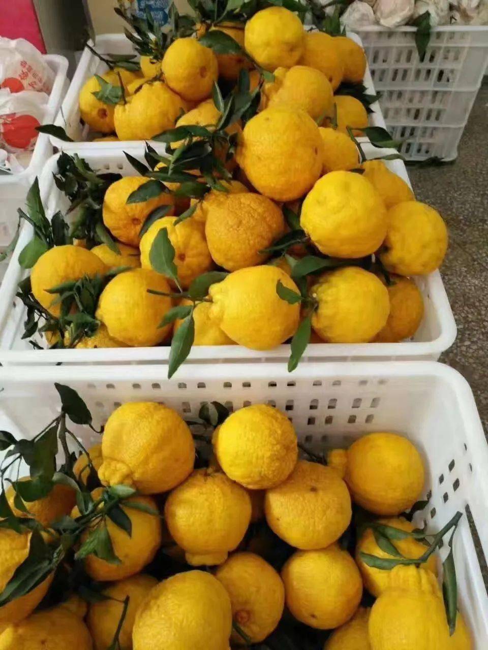 资阳富硒茶出产地（富硒茶产地哪里）-硒宝网