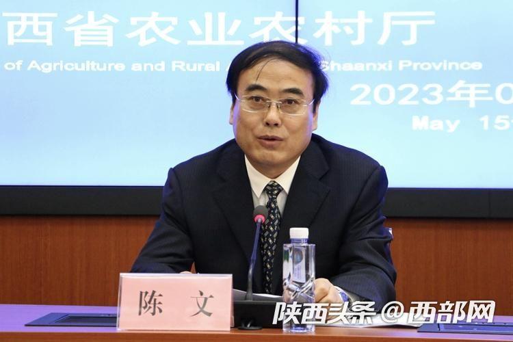 安康富硒茶年产值（安康产值茶富硒年产值多少）-硒宝网