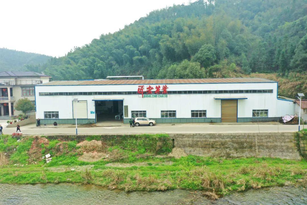 什么地方富硒茶好(富硒茶庄)-硒宝网