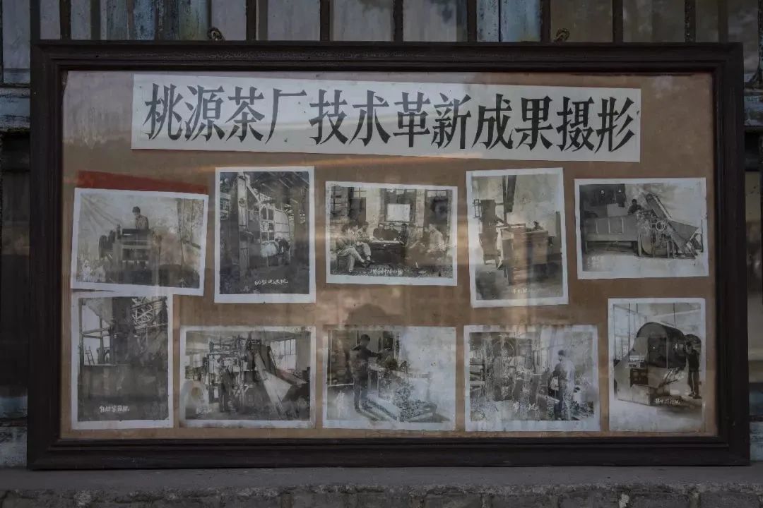 什么地方富硒茶好(富硒茶庄)-硒宝网