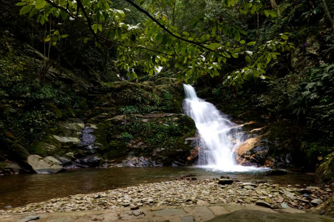 什么地方富硒茶好(富硒茶庄)-硒宝网