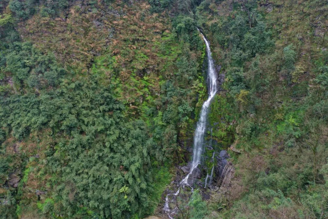什么地方富硒茶好(富硒茶庄)-硒宝网