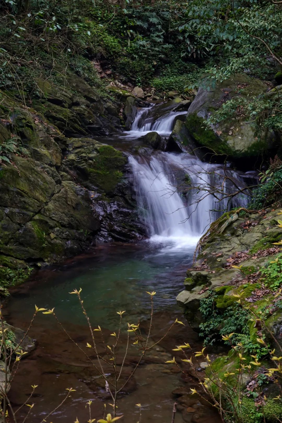什么地方富硒茶好(富硒茶庄)-硒宝网