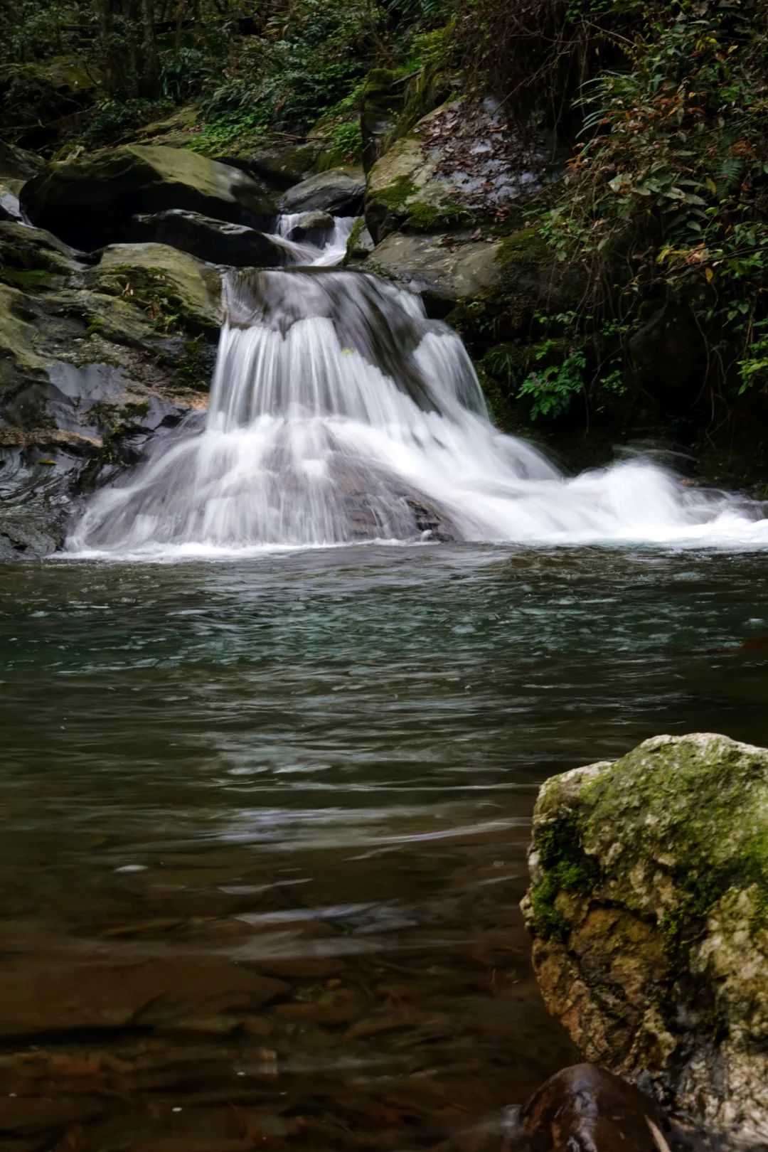 什么地方富硒茶好(富硒茶庄)-硒宝网