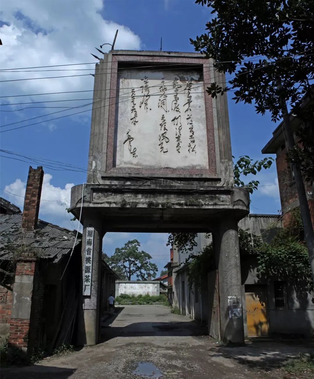 什么地方富硒茶好(富硒茶庄)-硒宝网