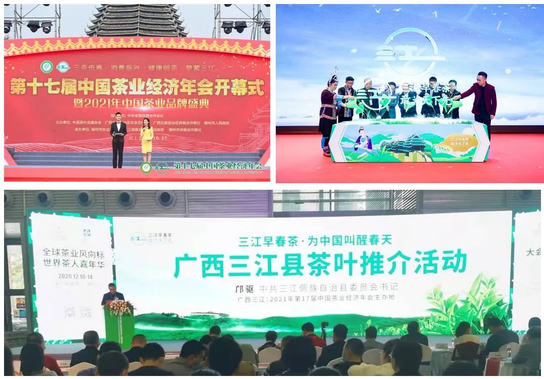 早春富硒茶策划案(早春茶叶)-硒宝网