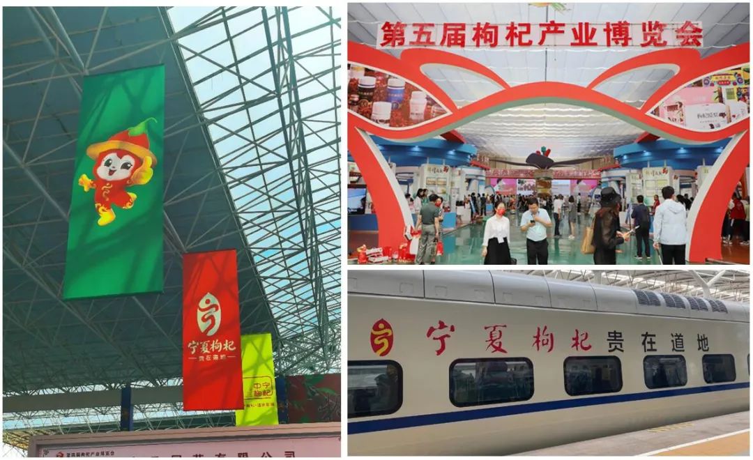 早春富硒茶策划案(早春茶叶)-硒宝网