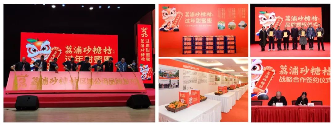 早春富硒茶策划案(早春茶叶)-硒宝网