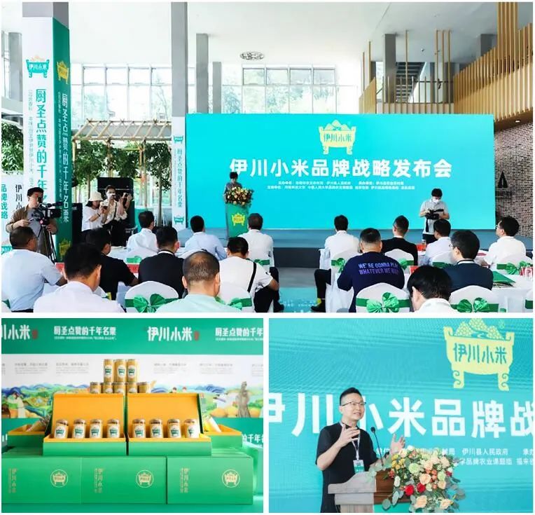 早春富硒茶策划案(早春茶叶)-硒宝网