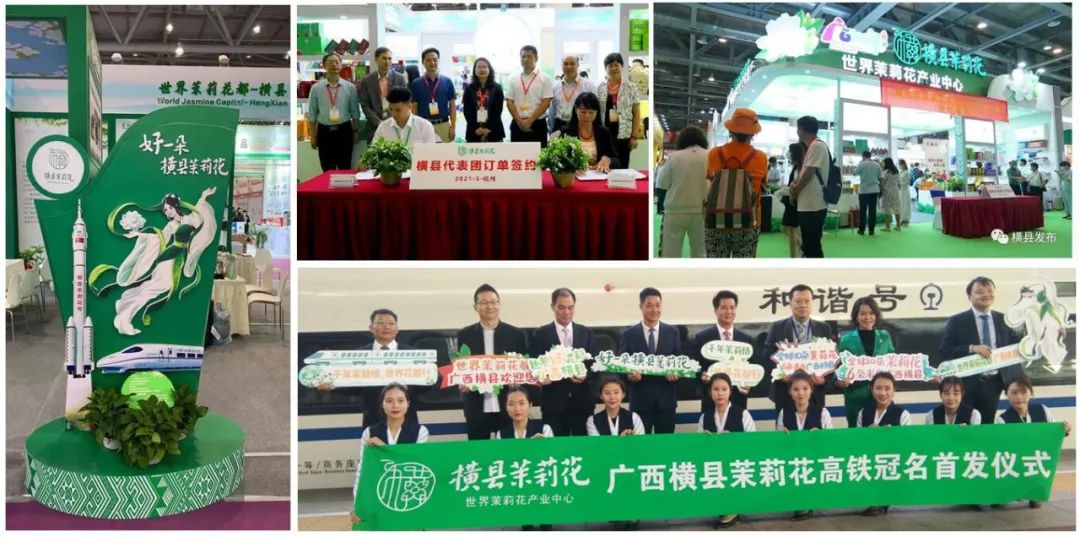 早春富硒茶策划案(早春茶叶)-硒宝网