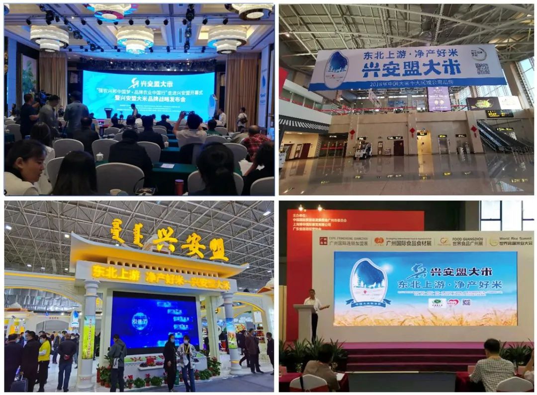 早春富硒茶策划案(早春茶叶)-硒宝网