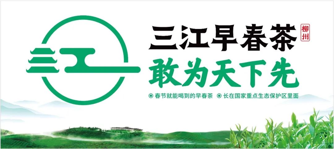 早春富硒茶策划案(早春茶叶)-硒宝网